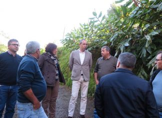 Governo dos Açores vai investir 4,5 ME em infraestruturas agrícolas em 2020 na ilha de São Miguel, afirma João Ponte