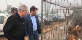 Governo dos Açores está empenhado na promoção de uma cultura de proteção e bem-estar animal, afirma Diretor Regional
