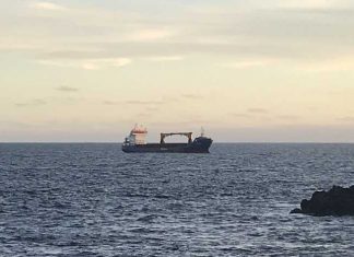 Navio ‘Malena’ já chegou aos Açores