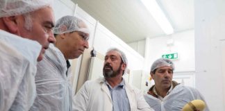 Governo dos Açores abre aviso no PRORURAL+ exclusivo para apoiar investimentos de reforço da capacidade de frio e de cura de queijos das indústrias