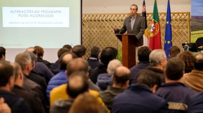 João-Ponte-5-800x445