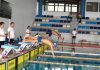 Nadadores do CNH disputam Festival das Técnicas do Faial já este sábado