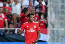 Gedson Fernandes emprestado ao Tottenham por 18 meses