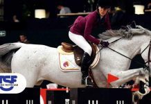 Tóquio2020: Luciana Diniz garante vaga para Portugal nos obstáculos