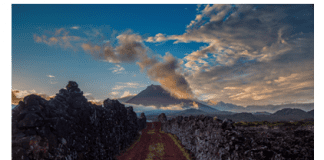 Cooperativa Vitivinícola da Ilha do Pico promove prova do seu leque de novos vinhos