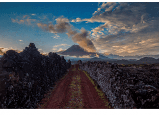 Cooperativa Vitivinícola da Ilha do Pico promove prova do seu leque de novos vinhos