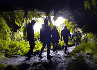4 escritoras açorianas destacadas no Montanha
