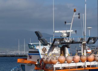 Autuada embarcação a pescar em zona de reserva natural marinha