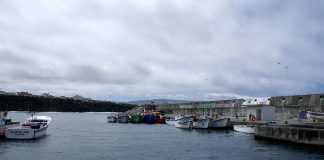 Pescas – PCP critica portaria que limita captura de determinadas espécies