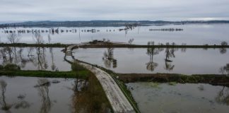 Dono de terreno invadido por areia nas cheias do Mondego critica silêncio da tutela