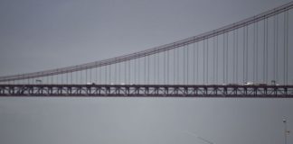Apanhar um táxi no Tejo? Associação de Turismo de Lisboa vai apresentar proposta até ao final de março