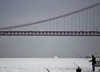 Apanhar um táxi no Tejo? Associação de Turismo de Lisboa vai apresentar proposta até ao final de março