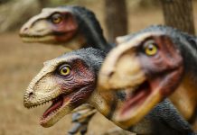 Vila da Lourinhã com modelos de dinossauros à escala real para atrair turistas