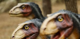 Vila da Lourinhã com modelos de dinossauros à escala real para atrair turistas