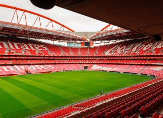 Benfica Play arranca hoje com objetivo de “estar mais próximo dos adeptos”