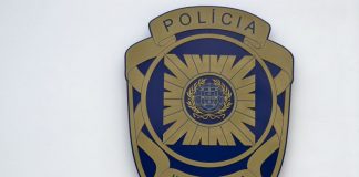 Seis detidos por associação criminosa e burla informática ligada a compras ‘online’