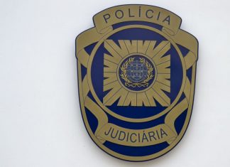 Seis detidos por associação criminosa e burla informática ligada a compras ‘online’