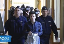 Luanda Leaks: advogados de Rui Pinto assumem que é ele o responsável pela divulgação dos documentos