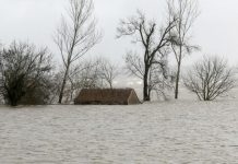 Mau tempo: Seguradoras estimam danos de 18,2 milhões