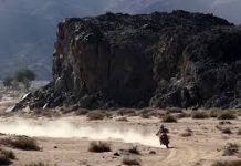 Dakar2020: Sunderland perde vitória na quarta etapa. Paulo Gonçalves sobe a quarto