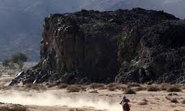 Dakar2020: Sunderland perde vitória na quarta etapa. Paulo Gonçalves sobe a quarto