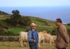 Governo dos Açores reforça cobertura de serviços de medicina veterinária na ilha do Corvo
