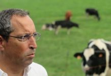 POSEI – Candidaturas ao programa de apoios decorrem a partir de 27 de fevereiro DR