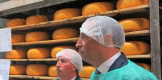 Governo dos Açores majora ajuda à armazenagem dos queijos de São Jorge