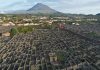 Governo Regional garante presença dos vinhos dos Açores na série televisiva inglesa ‘The Wine Show’