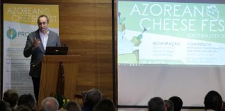 Melhor valorização dos produtos lácteos dos Açores é o grande desafio do setor