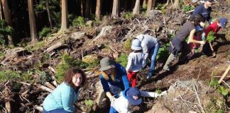 Diretora Regional dos Recursos Florestais destaca importância da cidadania participativa para o futuro da floresta nos Açores