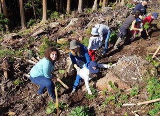 Diretora Regional dos Recursos Florestais destaca importância da cidadania participativa para o futuro da floresta nos Açores