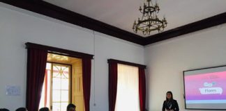 Ilha das Flores ultrapassa 50% de produção de energia elétrica a partir de fontes renováveis em 2019