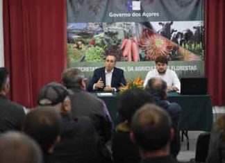 Potencial para crescimento da fruticultura nos Açores deve ser aproveitado