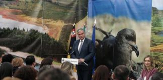 Região quer investir 43 milhões de euros em projetos de conservação e gestão do património natural