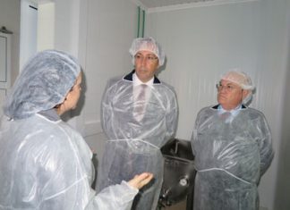 Pequenas queijarias ajudam ao desenvolvimento dos territórios e contribuem para a notoriedade dos queijos dos Açores