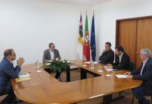 Governo dos Açores vai rever legislação que regula atividade apícola