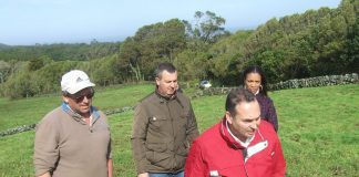 António Ventura quer ouvir ministros e governo regional sobre derrame encoberto do Pipeline do Cabrito