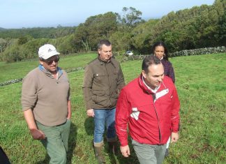 António Ventura quer ouvir ministros e governo regional sobre derrame encoberto do Pipeline do Cabrito