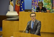 PSD defende viagens semanais para saída de gado vivo das Flores