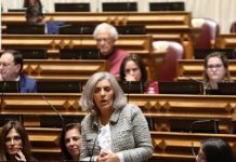 Isabel Almeida Rodrigues defende afetação de recursos à Política Agrícola Comum e de Coesão