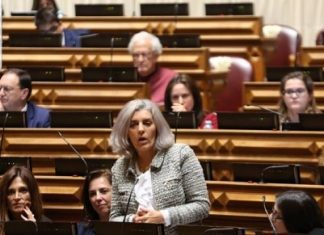 Isabel Almeida Rodrigues defende afetação de recursos à Política Agrícola Comum e de Coesão