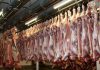 Matadouro do Faial com certificado em Bem-Estar Animal Welfair DR