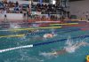 Dezoito nadadores do CNH disputam o Campeonato de Ilha – Faial