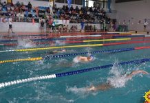 Dezoito nadadores do CNH disputam o Campeonato de Ilha – Faial