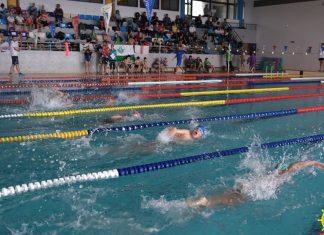 Dezoito nadadores do CNH disputam o Campeonato de Ilha – Faial