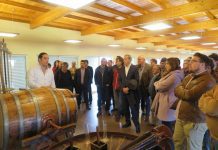 João Ponte garante apoio aos produtores na exportação do Queijo de São Jorge