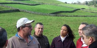 Descontaminar exige responsabilidade