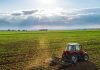 Governo dos Açores investe 387 mil euros em infraestruturas agrícolas nas ilhas de São Miguel e Terceira