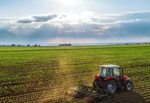 Governo dos Açores investe 387 mil euros em infraestruturas agrícolas nas ilhas de São Miguel e Terceira